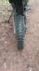 Motoland 150 GF150 E, 2025 г.