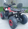 Racer RC 200 GLADIATOR, 2024 г.