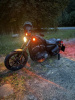 Harley-Davidson Sportster XL883 iron, 2019 г.