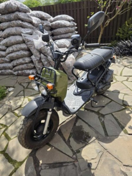 Honda Zoomer, 1999 г.