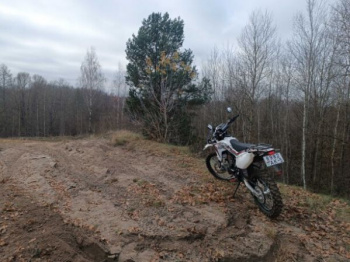 BSE Z6, 2024 г.