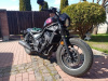 Honda CMX rebel 500, 2024 г.