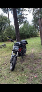 VMC Monster Plus, 2025 г.