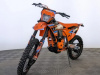 Progasi Endurance 300 EFI, 2025 г.