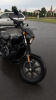 Harley-Davidson Street, 2019 г.