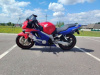 Honda CBR f4, 1999 г.