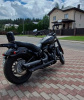 Harley-Davidson Softail Street Bob FXBB, 2020 г.