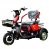 BMW GG Электротрицикл Terax APKI (SVITYAZ NS003, 2025 г.