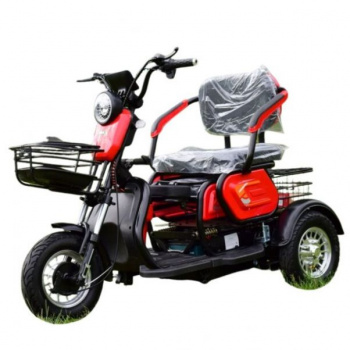 BMW GG Электротрицикл Terax APKI (SVITYAZ NS003, 2025 г.