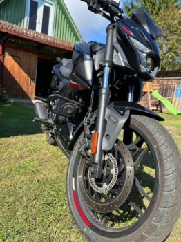 BAJAJ Pulsar N250, 2024 г.