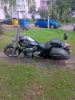 Yamaha XVS v star, 2011 г.