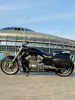 Harley-Davidson V-Rod Muscle 300!, 2016 г.