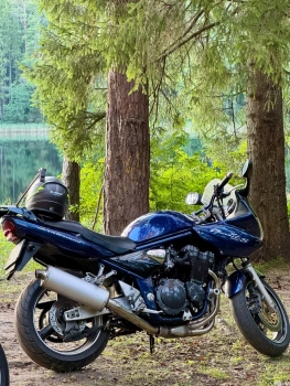 Спорт-турист Suzuki Bandit Suzuki Bandit 1200S, 2002 г.