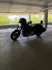 Harley-Davidson Sport Glide Softail FLSB, 2018 г.