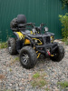 Storm 200 Wild Track Lux, 2025 г.