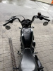 Harley-Davidson Nightster, 2022 г.