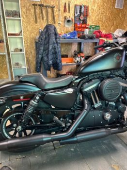 Harley-Davidson Sportster, 2019 г.