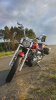 Yamaha XVS Custom, 2005 г.