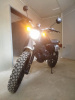 Motoland LEGEND 300, 2023 г.