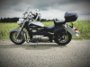 Suzuki Boulevard С50, 2008 г.