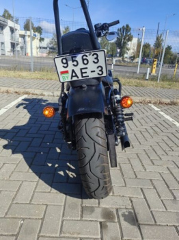 Harley-Davidson Sportster XL883N, 2021 г.