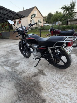 Regulmoto RM, 2024 г.