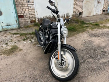 Harley-Davidson V-Rod, 2003 г.