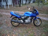 Honda CB, 2000 г.