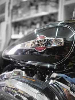 Harley-Davidson Sportster Custom 1200xl, 2015 г.