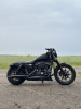 Harley-Davidson Sportster, 2019 г.