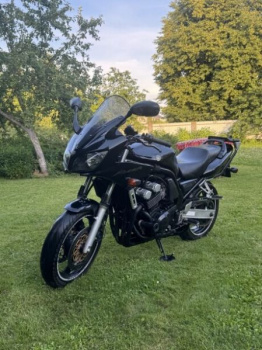 Yamaha FZR fazer, 2001 г.