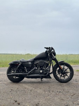 Harley-Davidson Sportster, 2019 г.
