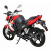 Racer RC 250CK, 2024 г.