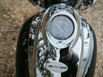 Motoland Wolf 300, 2026 г.