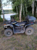 Bizon YK450AL, 2024 г.