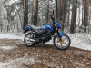 Motoland Scout 11, 2026 г.