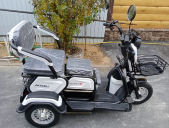 Эксклюзив Редкая модель SHTENLI Model 31 SLA 20Ач 60В, 2026 г.