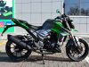 Regulmoto T-Leopard 300, 2023 г.