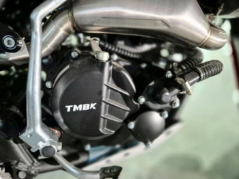 TMBK KINETIC 300, 2026 г.