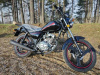Hors Z 150, 2026 г.