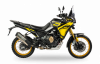 VOGE DS800 Rally, 2026 г.