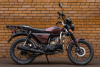  Racer RC 50 ALPHA LUX M2 , 2026 г.