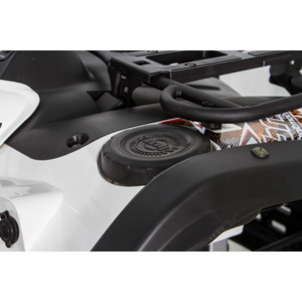 Baltmotors Striker Hisun 400 EFI ПТС, 2025 г.