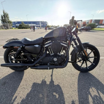 Harley-Davidson Sportster 883 iron, 2022 г.