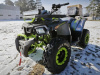 Motoland Wild Track 200 X WINCH, 2025 г.