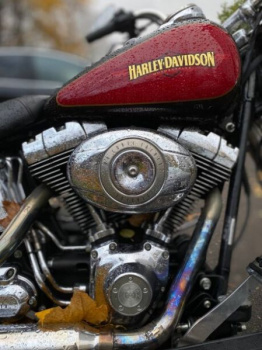Harley-Davidson Softail Heritage, 2010 г.
