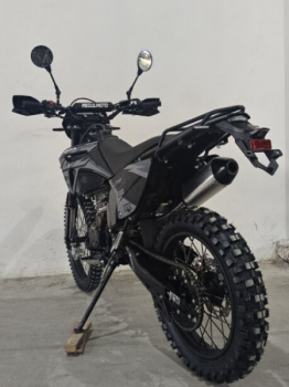 Regulmoto ZZ PR 300, 2026 г.