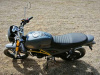 Motoland Scrambler , 2025 г.