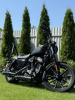 Harley-Davidson Sportster 883N, 2021 г.
