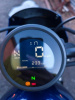Honda CMX Rebel 500, 2025 г.